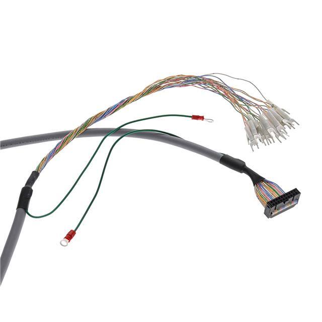 XW2Z-RY500C Omron Automation and Safety Controller – Kabelbaugruppen